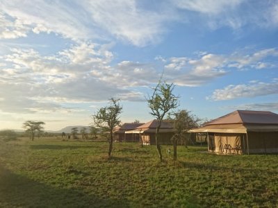 Dzień 12: Park Narodowy Serengeti i krater Ngorongoro